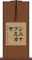 シニャフスカヤ Scroll