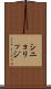 シニョリッジ Scroll