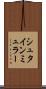 シュタインミュラー Scroll