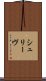 シュリーヴ Scroll
