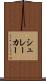 シュレーカー Scroll