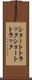 ショートトラック Scroll