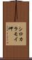シロカラモイ岬 Scroll