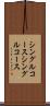シングルコース Scroll
