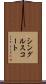 シングルス・コート Scroll