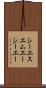 シーエスエムエーシーエー Scroll