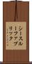 シースルーファブリック Scroll