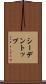シーデントップ Scroll