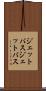 ジェットバス Scroll