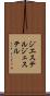ジエステル Scroll