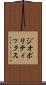 ジオポリティックス Scroll
