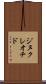 ジヌクレオチド Scroll
