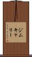 ジムキャリー Scroll