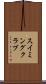 スイミングクラブ Scroll