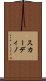 スカーディノ Scroll