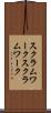 スクラムワーク Scroll