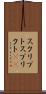 スクリプト Scroll