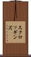 スクロッギンズ Scroll