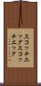 スコッチエッグ Scroll