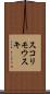 スコリモウスキ Scroll