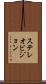 ステレオビジョン Scroll