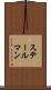 ステールマン Scroll