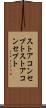 ストアコンセプト Scroll