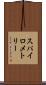 スパイロメトリー Scroll