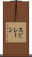 スピレーン Scroll