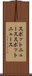 スポットニュース Scroll