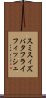 スミスィズバタフライフィッシュ Scroll