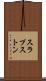 スラプストン Scroll