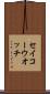 セイコーウオッチ Scroll