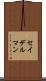 セイデルマン Scroll