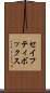 セイフティ・ボックス Scroll