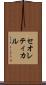 セオレティカル Scroll