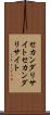 セカンダリサイト Scroll