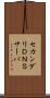 セカンダリＤＮＳサーバ Scroll