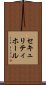 セキュリティホール Scroll