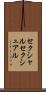 セクシャル Scroll