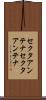 セクタアンテナ Scroll