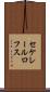 セケレールロフス Scroll