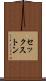セックストン Scroll