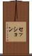セッション Scroll