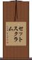 セット・スクラム Scroll