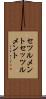セツルメント Scroll