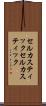 セルカスティック Scroll