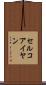 セルコアイヤン Scroll