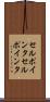 セルポインタ Scroll