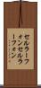 セルラーフォン Scroll